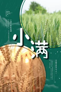 手绘24传统节气小满节日海报