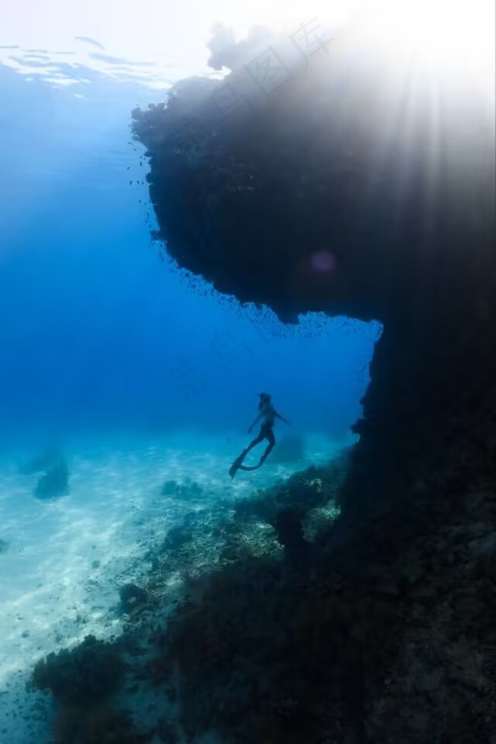 海中的美人鱼