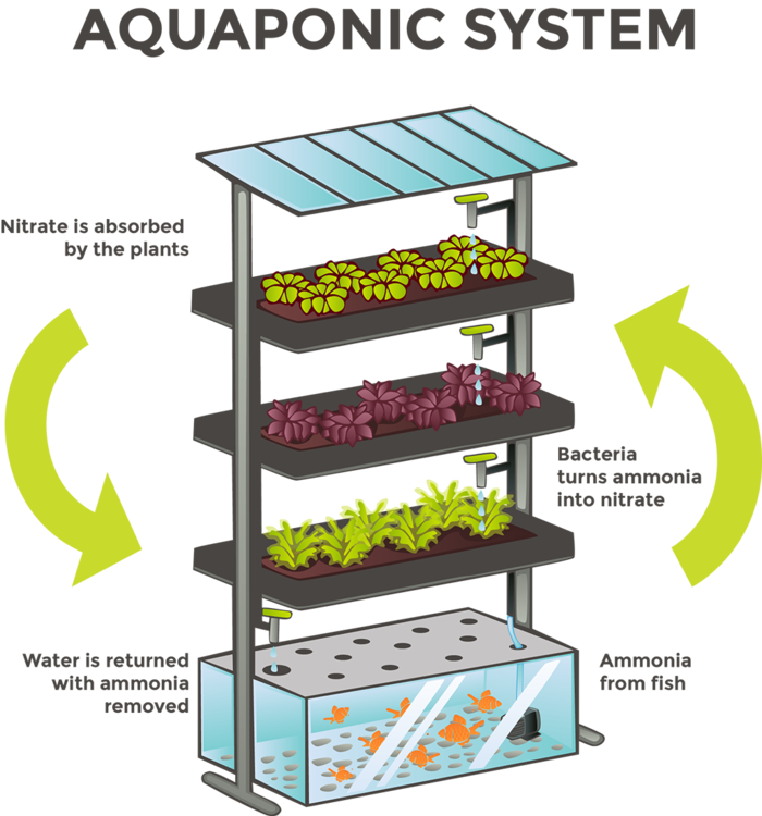 多层种植现代农业