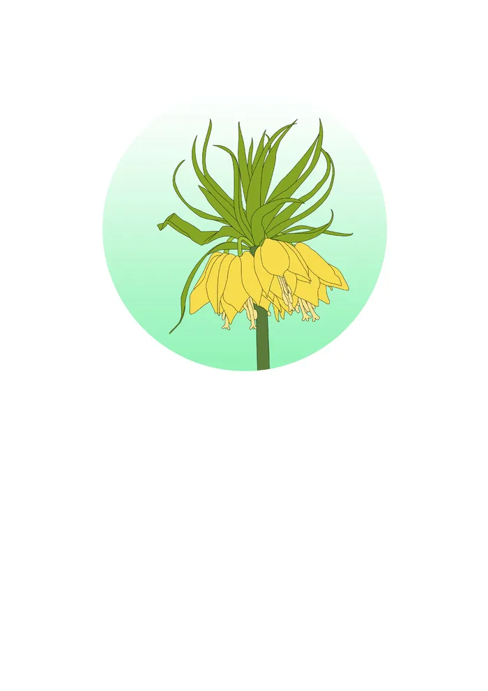 简约冠花贝母画册背景图