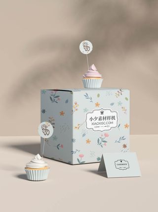 包装智能贴图样机VI效果PSD素材