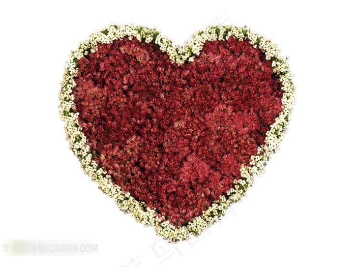情人节美丽高清的心形花环素材