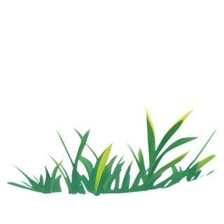 春天草丛绿叶免抠