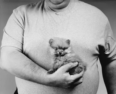 男人手里抱着的可爱小狗狗图片