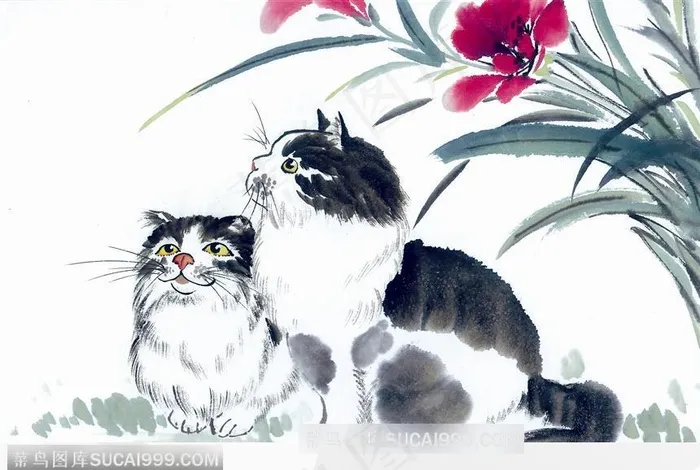 兰花下的小猫