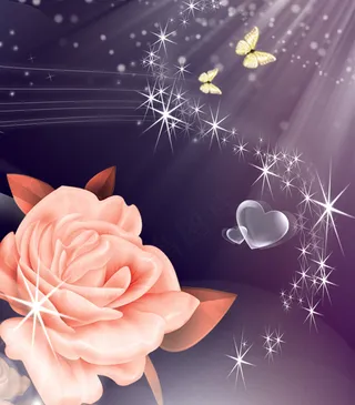 粉色玫瑰花图片素材