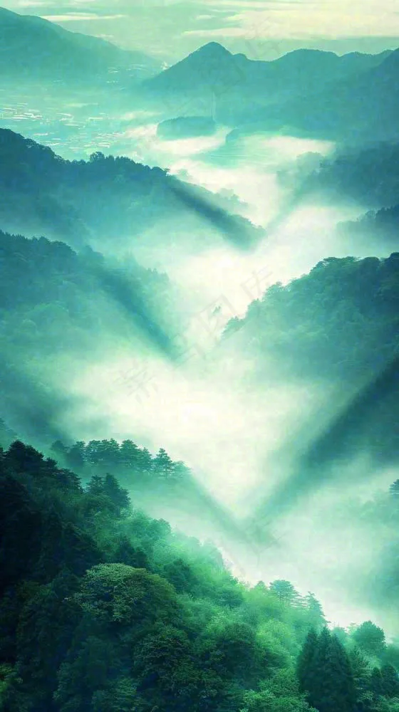 中国风高山绿植森林丛林，阳光蓝天白云，户外(816x1456)