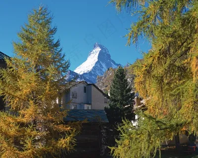 雪上脚下松树间的民房