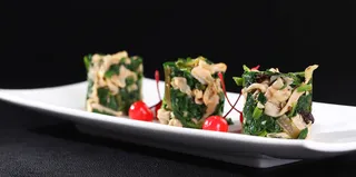 L01497碧绿蝴蝶贝 (4)