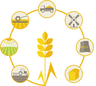 圆形麦子素材现代农业