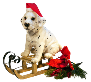 雪橇犬圣诞节动物