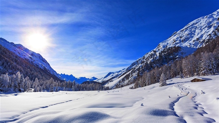 冬天的树林和雪地