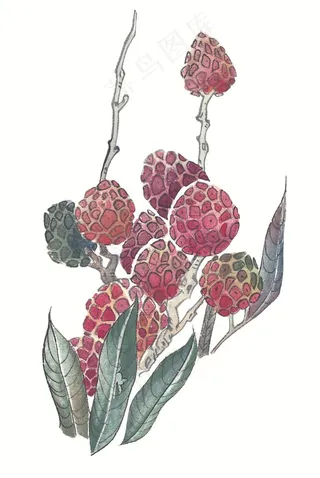 国画瓜果蔬菜鱼虾蟹系列摄影图片