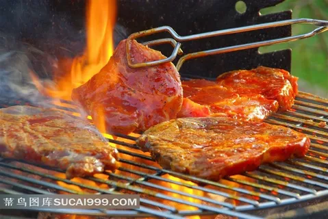 炭火烧烤架上的牛排高清图片