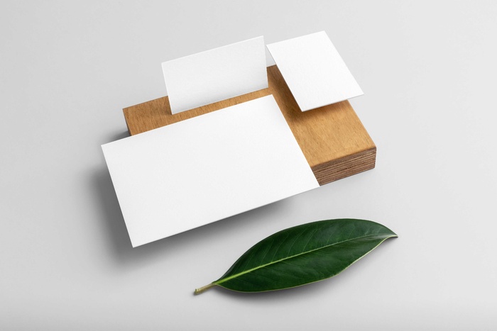 文创办公植物名片信纸品牌VI设计展示场景智能贴图样机