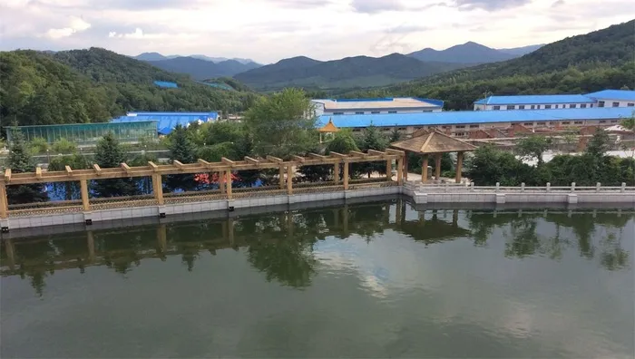 优美的园林景观