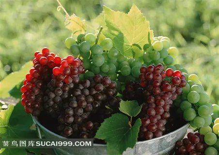 盘子里的葡萄高清图片水果图片