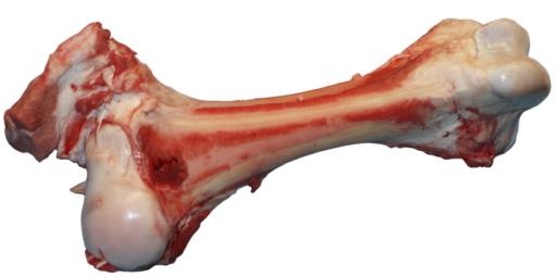 骨头 PNG免抠(700x350)