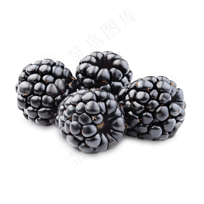黑莓免抠素材 (34)