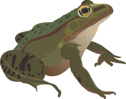 青蛙卡通素材简笔