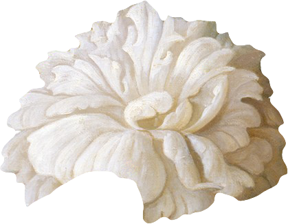 复古油画质感宫廷花卉植物花朵鲜花拼贴图案PNG免抠图片设计素材