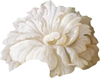 复古油画质感宫廷花卉植物花朵鲜花拼贴图案PNG免抠图片设计素材