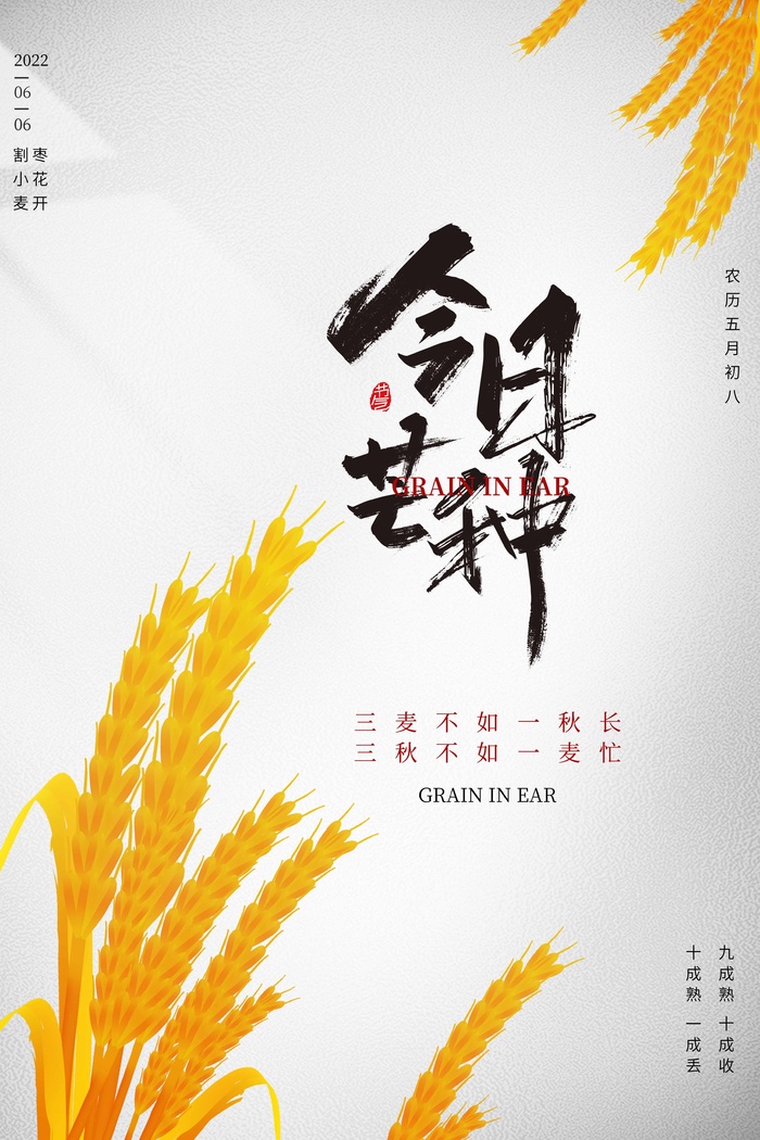 芒种 芒种营销海报psd模版下载