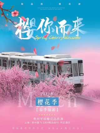 樱花节 樱花促销