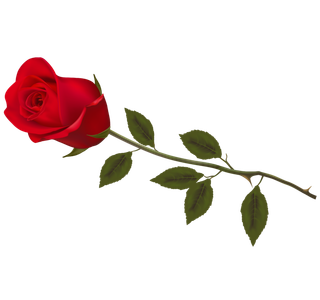 鲜花玫瑰免扣素材