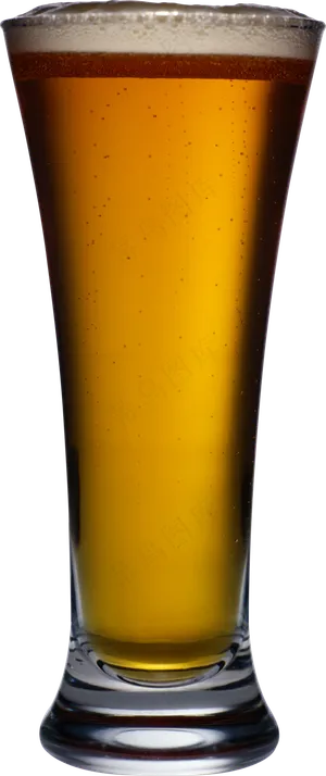 酒水饮料啤酒自产啤酒