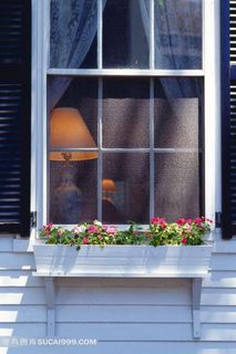 温馨的窗户和鲜花