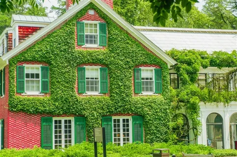 爬满植物的房子