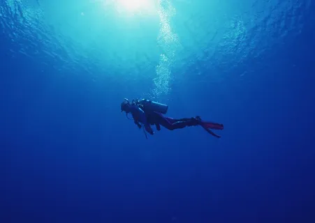 海底世界 19 海底世界 19