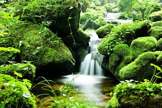 绿色自然山水图片