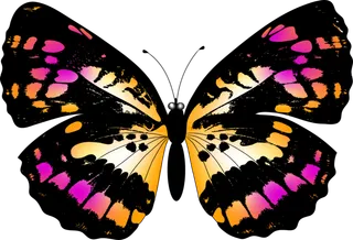 卡通动画动画蝴蝶免扣PNG手绘插画图片素材 (24)