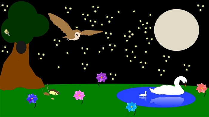 夜空星猫头鹰森林湖草地花朵月亮满月