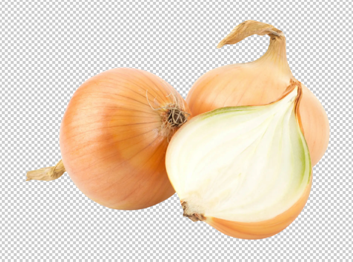 圆葱免扣素材