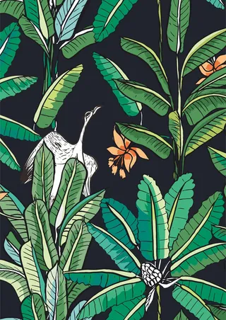 绿色叶子植物 鸭子仙鹤动物