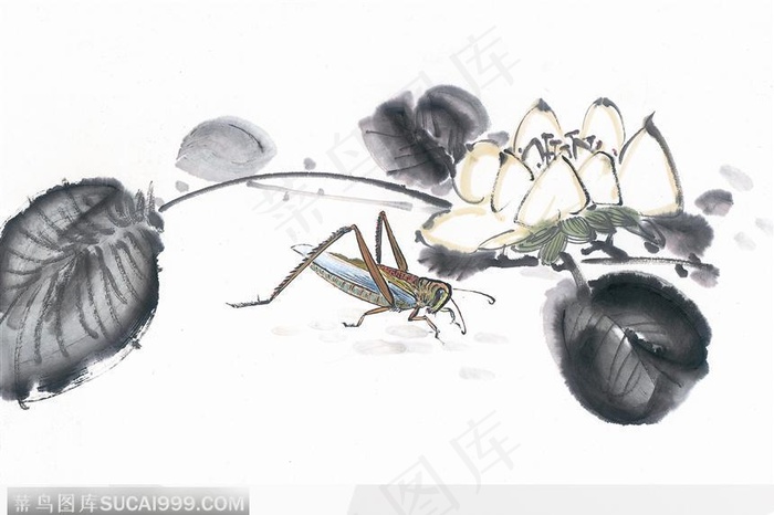 水墨画蚂蚱