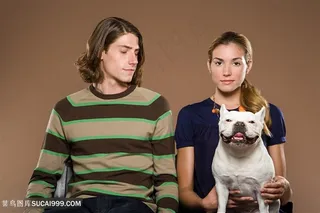 高清美女帅哥与斗牛犬狗狗图片