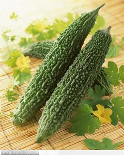 夏日美食-新鲜的苦瓜蔬菜图片