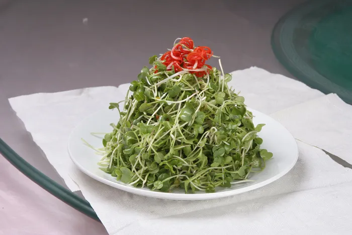 41 拌水萝卜苗--大福饺子城