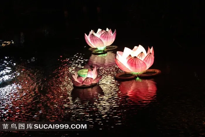 河面上的莲花河灯
