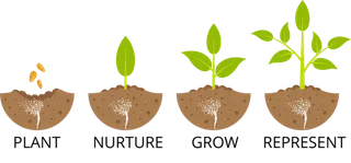 小苗成长现代农业