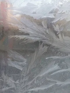 冬天的窗花 冬天的窗花