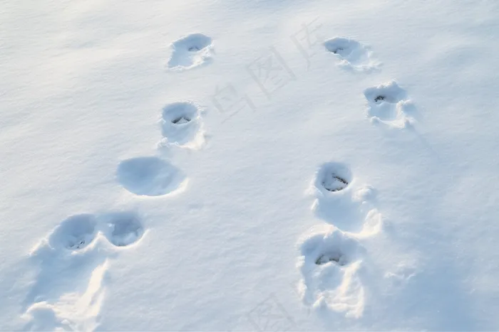 冬季雪地脚印白雪摄影图(4032x2688)