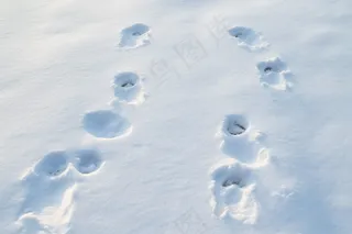 冬季雪地脚印白雪摄影图