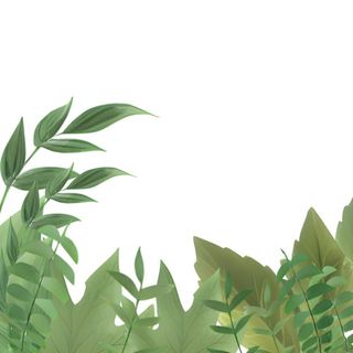 叶子草丛绿叶免抠