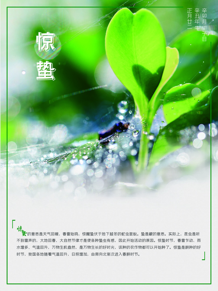 24二十四节气中国风创意惊蛰节日宣传海报模板PSD设计素材psd模版下载
