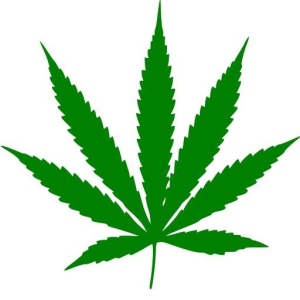 大麻PNG免抠